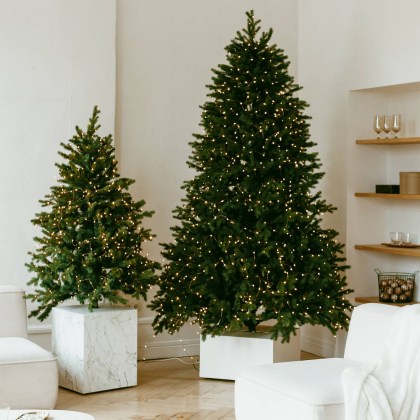 231- ALBERI DI NATALE